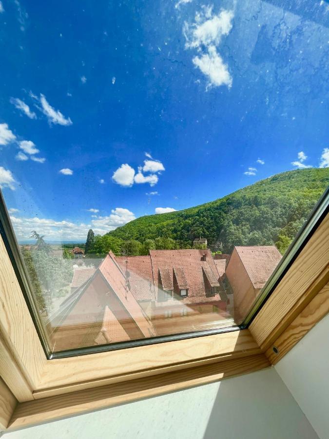 Choupette De La Vallee Avec Garage Kaysersberg-Vignoble Екстериор снимка
